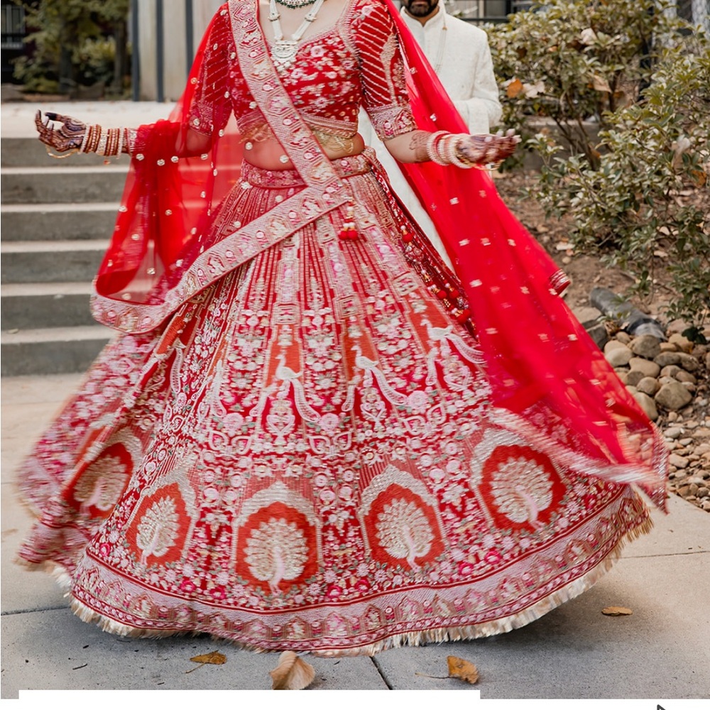 Red and Gold Embroidered bridal Dress - Picture 6 of 10